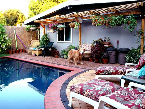Oct 2008- Ralf and the Percola Pool Plants