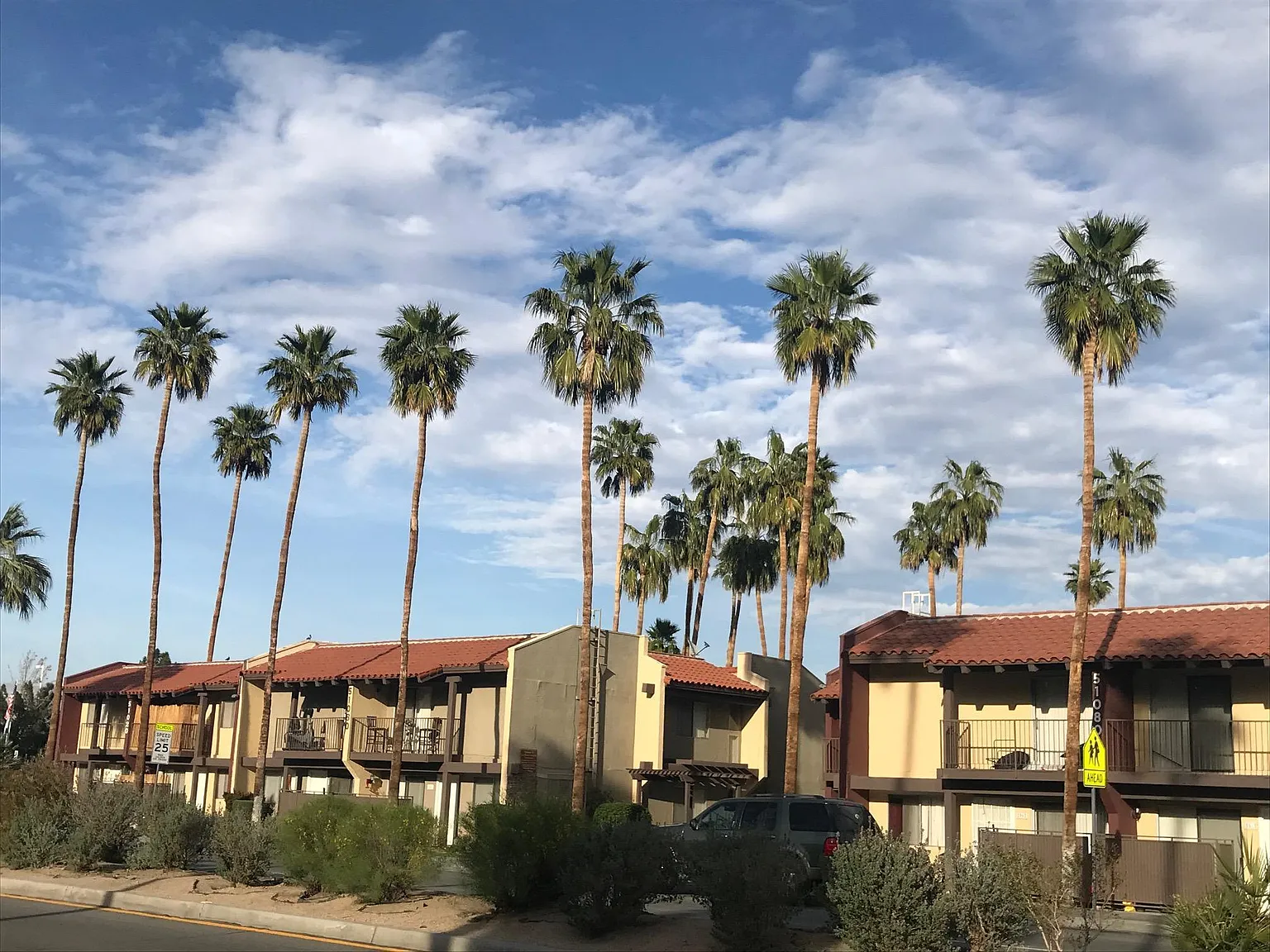 3 bed, $2,595 — Photo 4