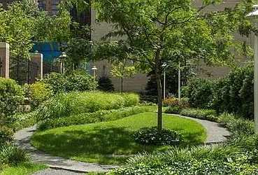 Rented by Triumph Property Group