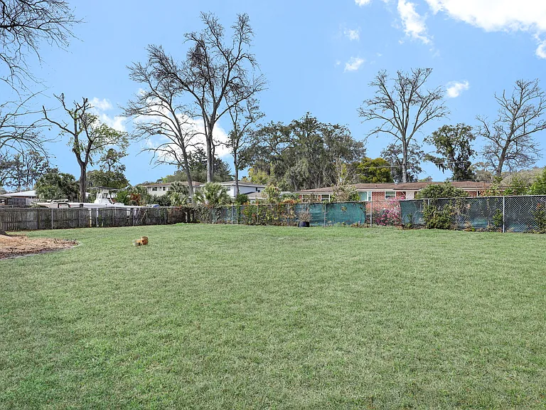 Large Backyard