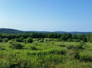 267 Tyler Hollow Rd, Spencer, NY 14883