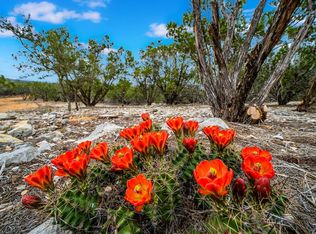 TRACT 14 Thrill Hill Rd, Harper, TX 78631