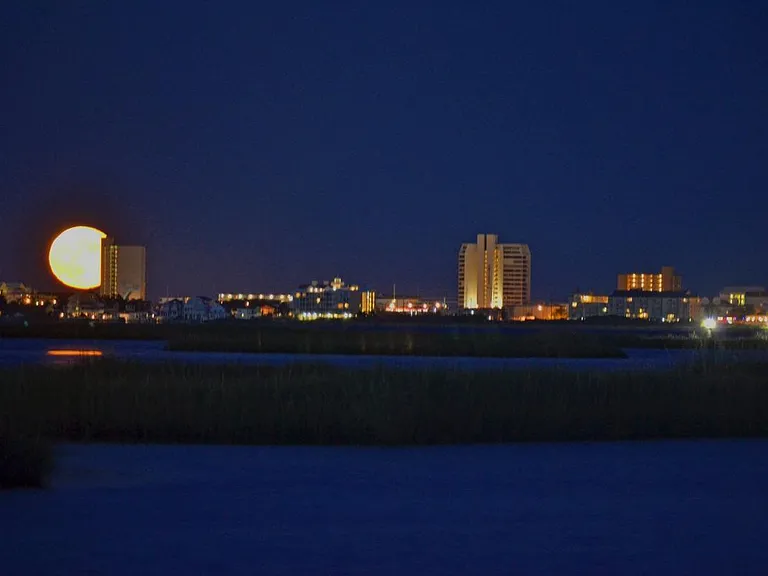 8500 Coastal Hwy #1207 — Photo 30