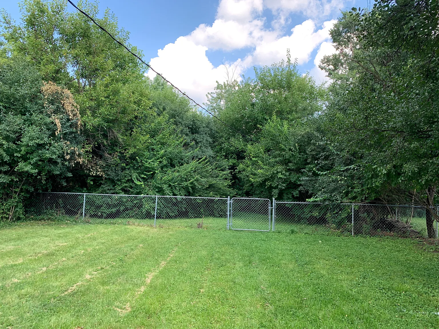 3 bed, 1100 sqft, $3,000 — Photo 4