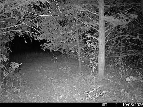 5th image of 21756 Flippin Rd