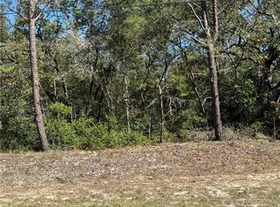 8103 N Gatewood Dr, Citrus Springs, FL 34433