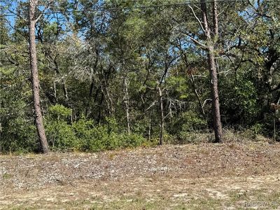 8103 N Gatewood Dr, Citrus Springs, FL, 34433
