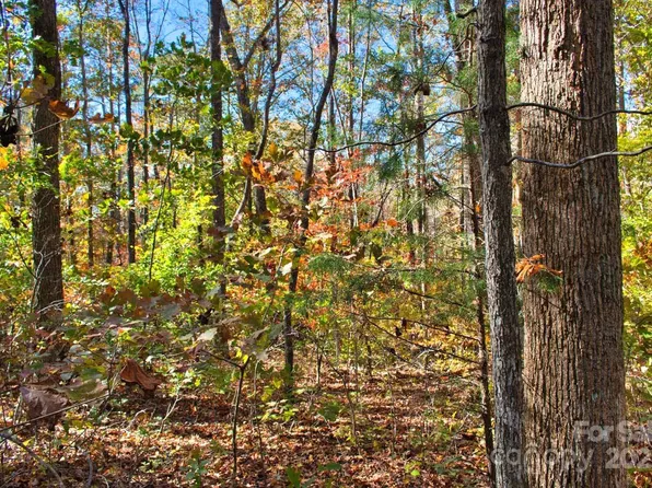 0 Bitteroot Cir #294, Rutherfordton, NC 28139