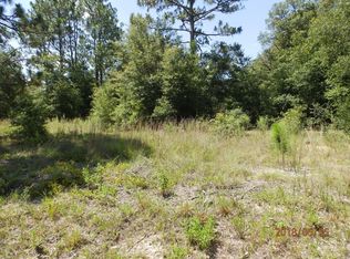 19986 SW 57th St, Dunnellon, FL 34431