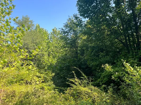 Mack Rd, Augusta, WV 26704