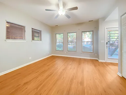 1456 S Halsted St #1 Photo 1
