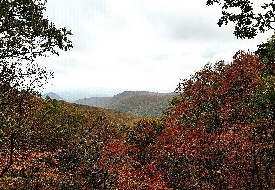 2nd image of 1870 Monument Rd