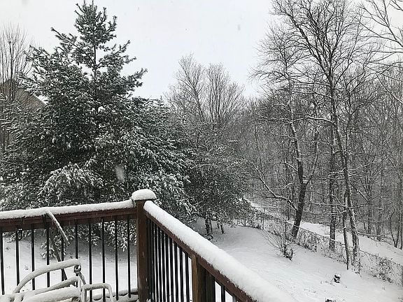 Deck leading to fenced area