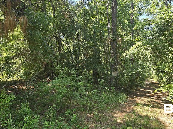 2nd image of 0 Toler Rd