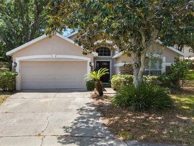17410 Woodfair Dr, Clermont, FL, 34711
