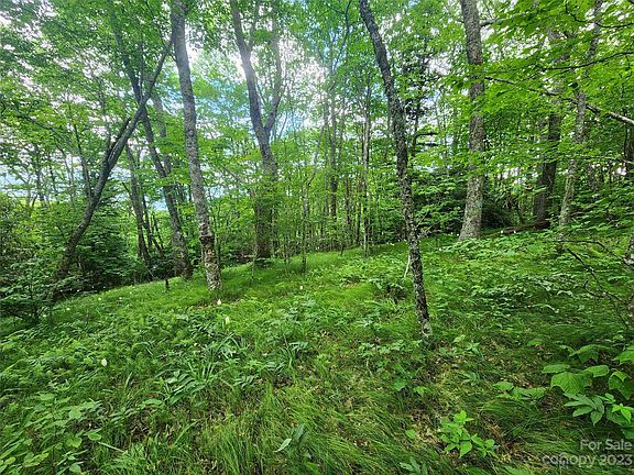 4th image of 0 Spruce Patch Ln #1.82