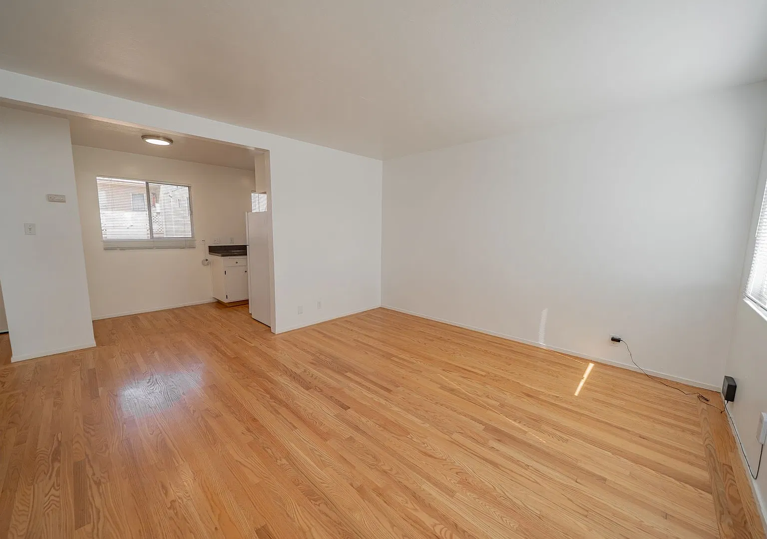 354 Vernon Street — Photo 2