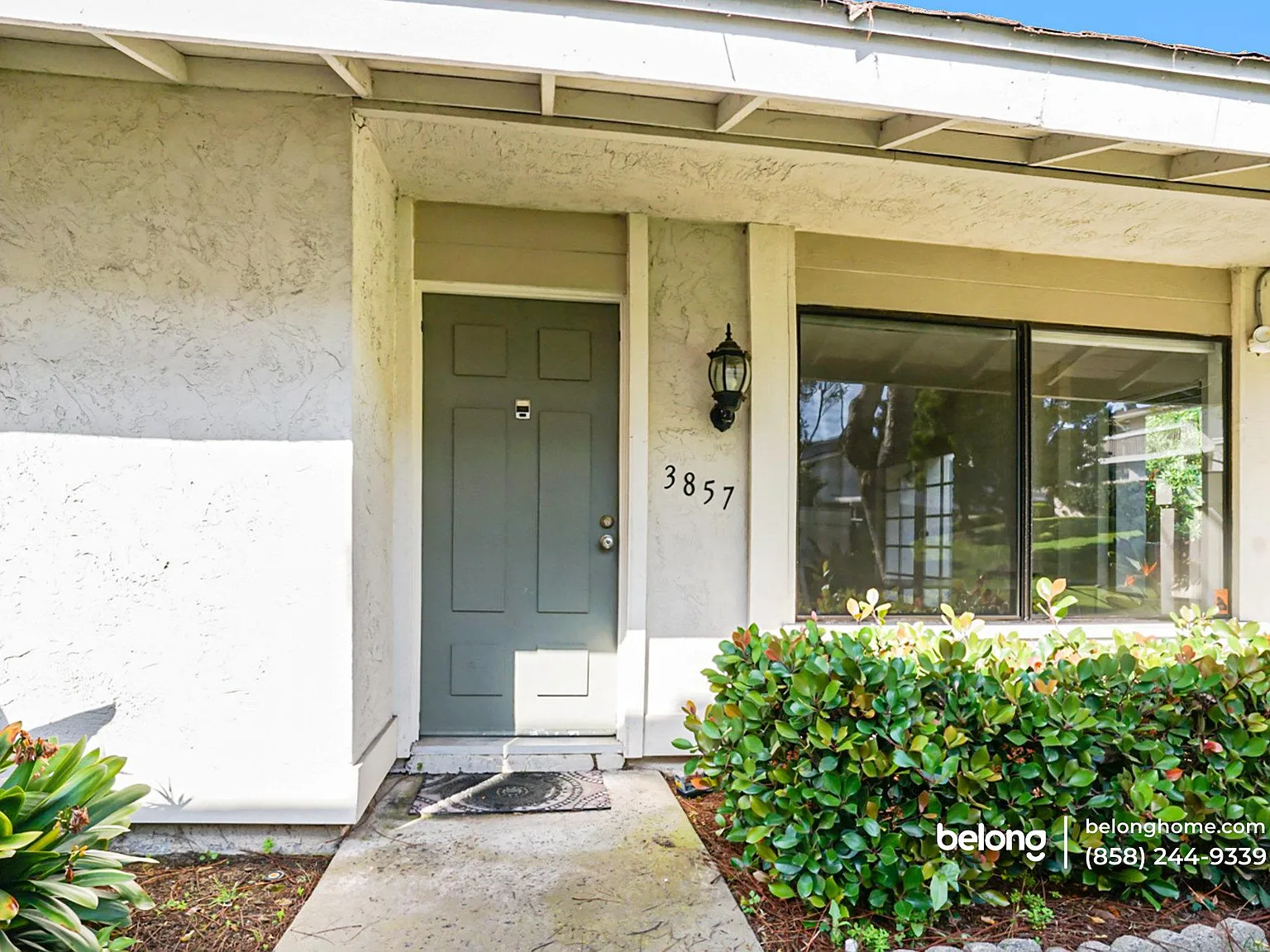 2 bed, 2.0 bath, 893 sqft, $3,245 — Photo 2