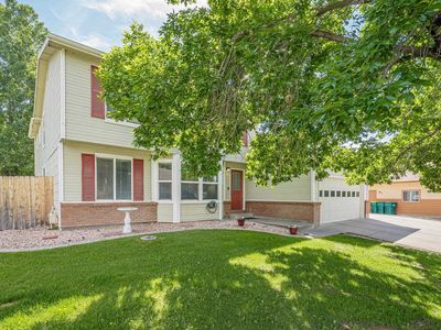220 Sunset Ct, Fruita, CO, 81521