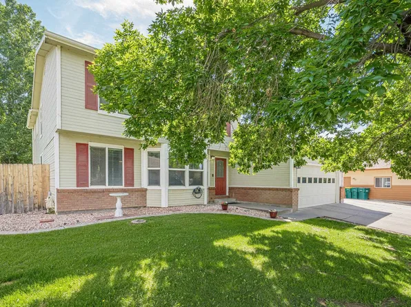 220 Sunset Ct, Fruita, CO 81521