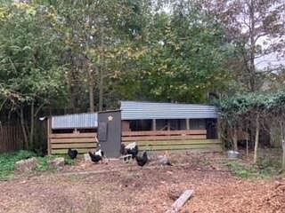 3rd image of 1661 Lonnie Taylor Ln