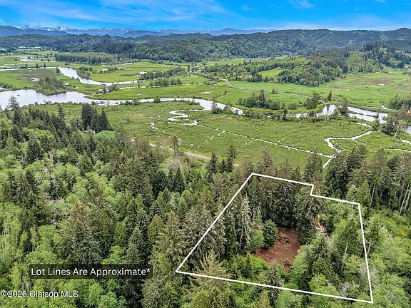 2nd image of Ziakgnat Creek Rd