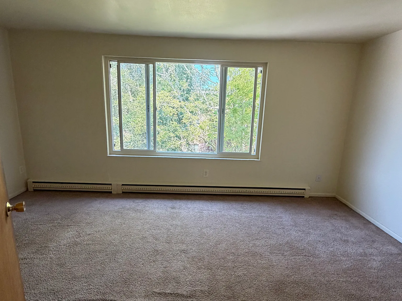 1 bed, 550 sqft, $1,325 — Photo 2