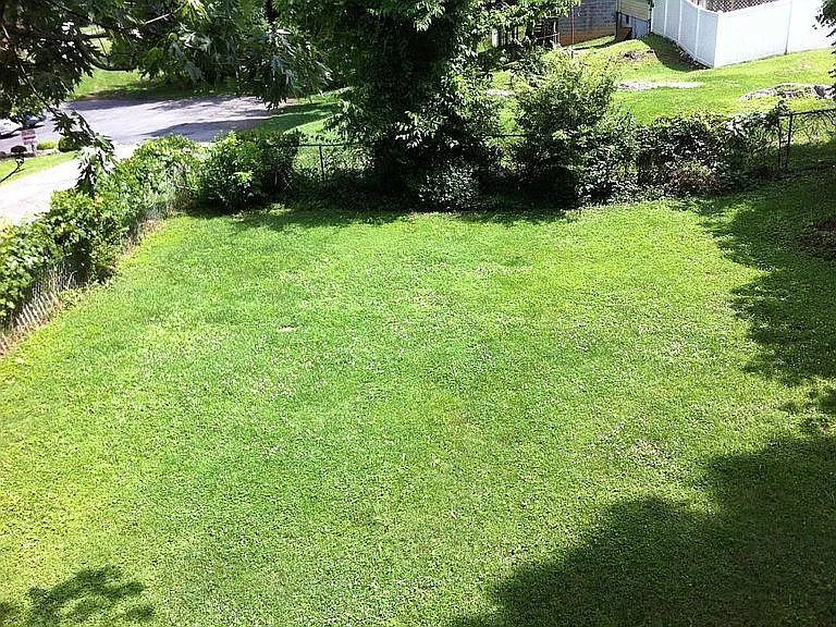 E Cedar St — Photo 4