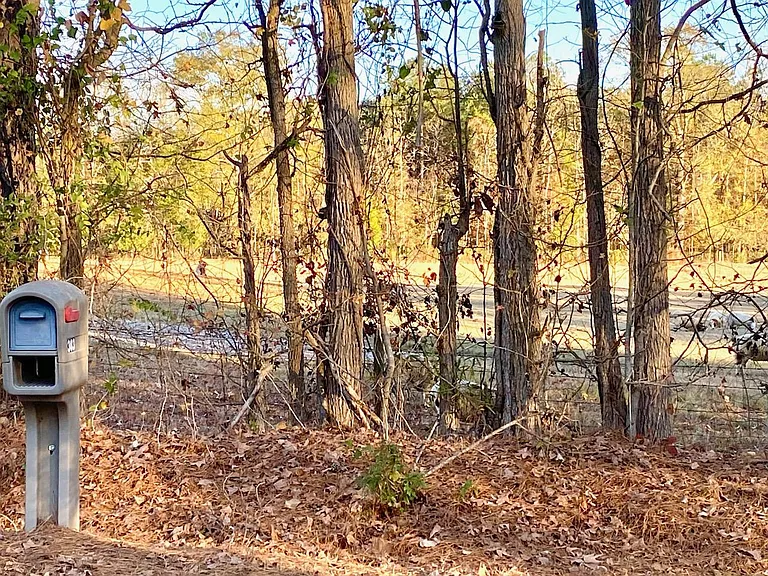 301 County Road 1001 — Photo 30