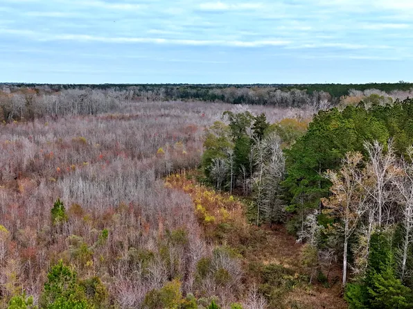 1215 Sandy Run Cir, Summerville, SC 29486