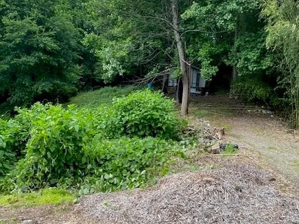 202 Grove Way, Millers Creek, NC 28651