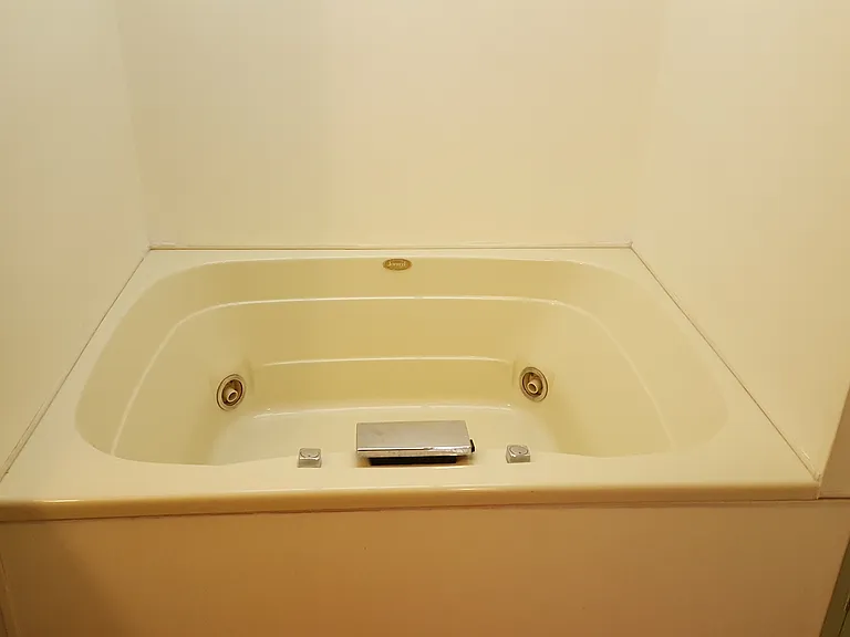 master bath tub