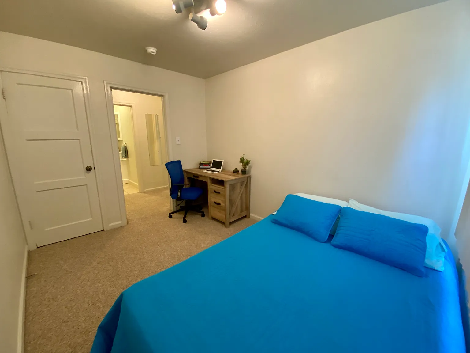 2 bed, 428 sqft, $3,250 — Photo 4
