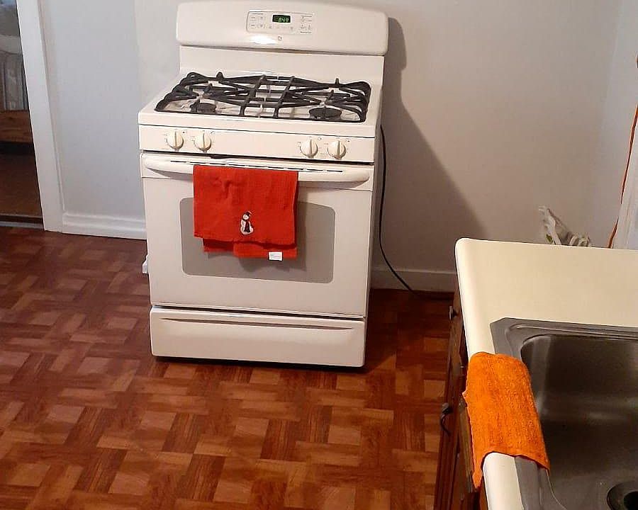 Gas stove