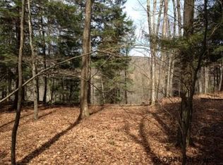 Charlotte Valley Rd, Summit, NY 12175