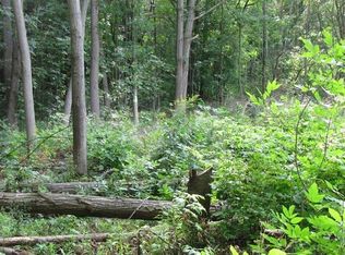 3225 Sliter Hill Rd, Naples, NY 14512