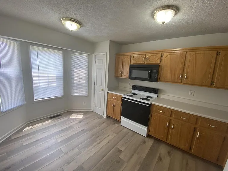 225 Tree Line Dr — Photo 4