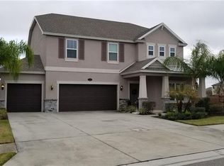 19221 Pepper Grass Dr, Tampa, FL 33647