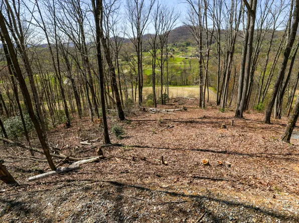 17M Ridges Overlook, Hayesville, NC 28904