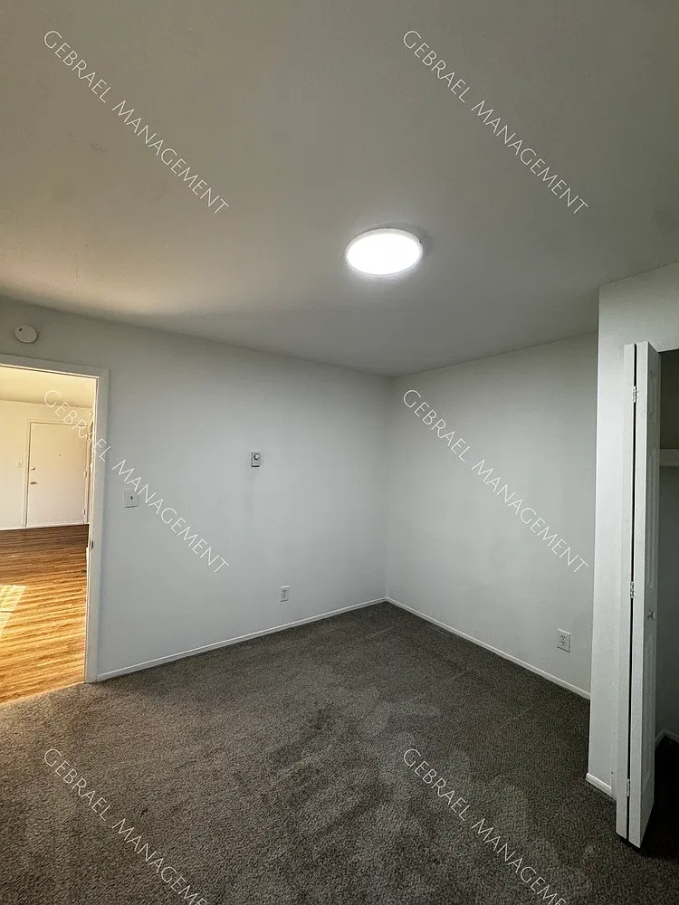 815 E Maple St — Photo 4