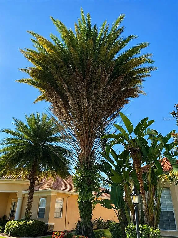 5 bed, 3.0 bath, 2877 sqft, $4,395 — Photo 3