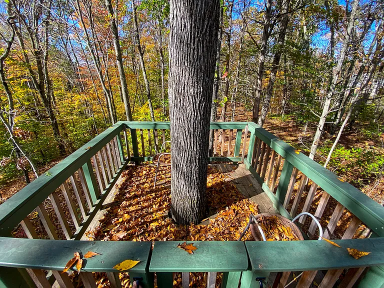 118 Lynn Dr — Photo 36