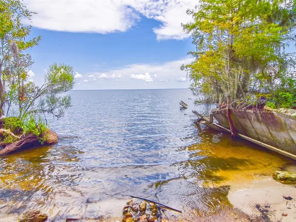 9021 NE 310th Ave, Salt Springs, FL 32134