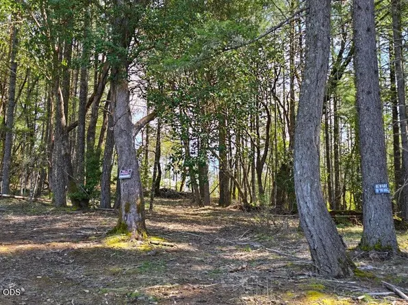 6715 W Side Rd, Cave Junction, OR 97523
