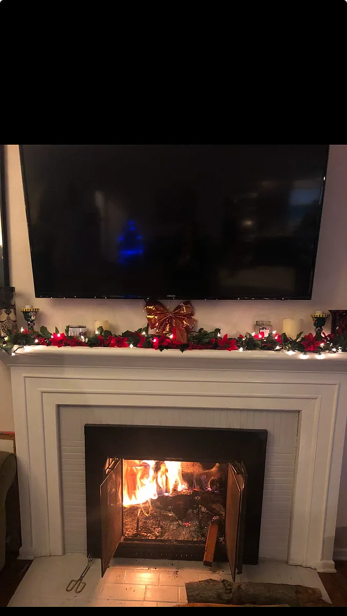 Fireplace in the Living room - 4733 Collis Ave