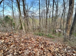 LOT 6 Biltmore Cir, Bryson City, NC 28713