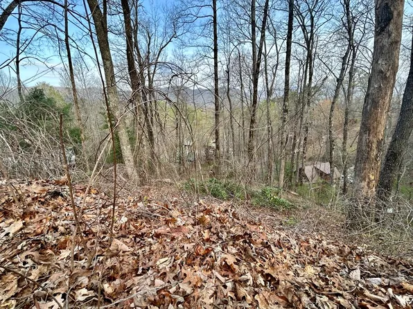 LOT 6 Biltmore Cir, Bryson City, NC 28713