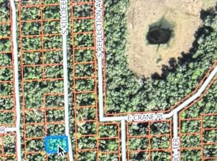 4010 S Killdeer Ave, Inverness, FL 34450