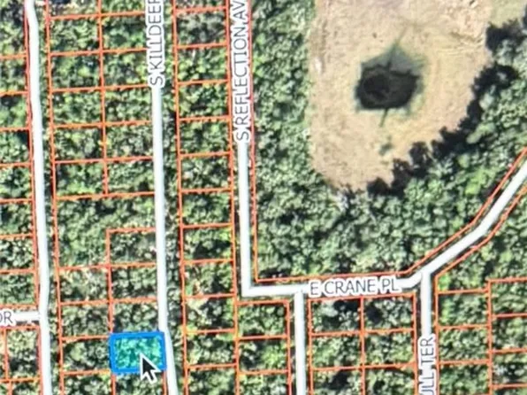 4010 S Killdeer Ave, Inverness, FL 34450