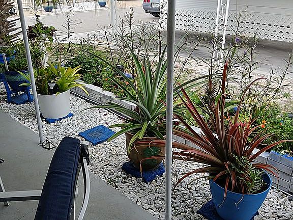 5th image of 4125 Park St N Lot 830